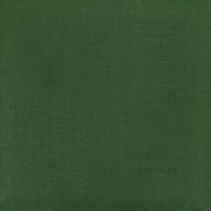 OS595 (SS057) Accent Green